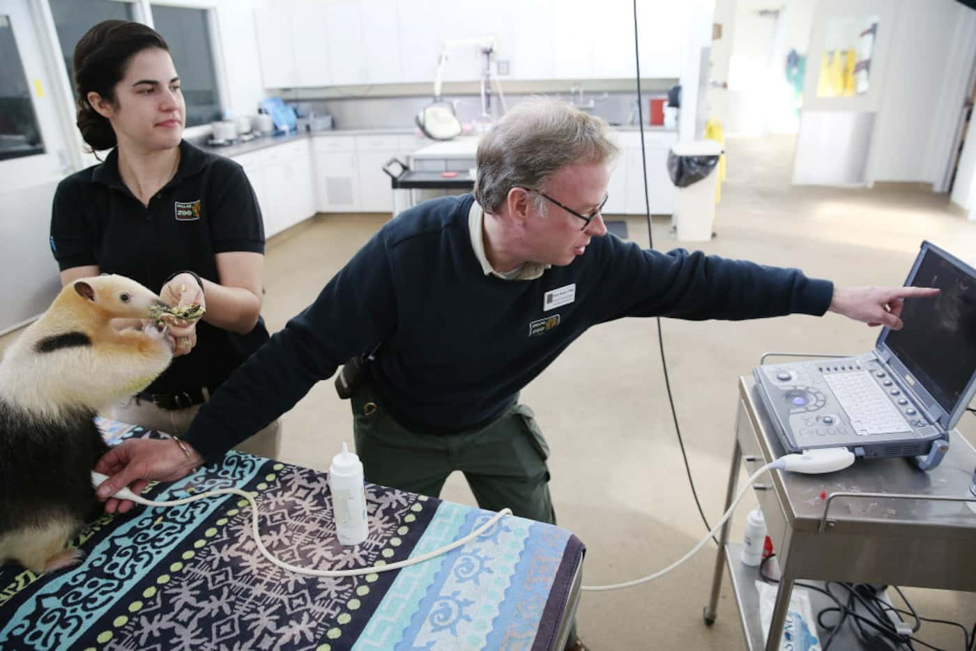 Dr. Chris Bonar, with animal outreach specialist Erin Jackson, performs an ultrasound on...