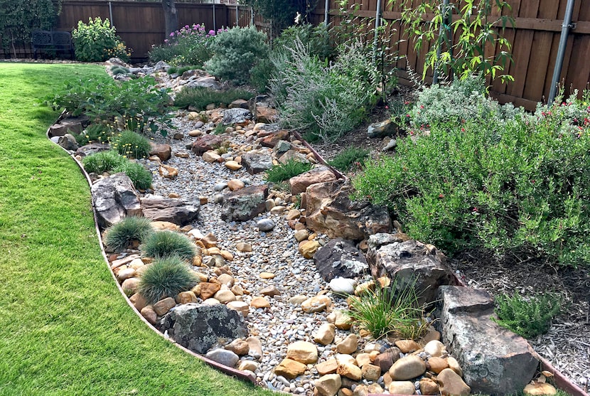 Rain garden with lots of rocks in a green yard and native plants