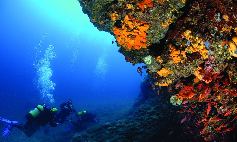 The Albanian Riviera offers ample opportunities for scuba diving. 