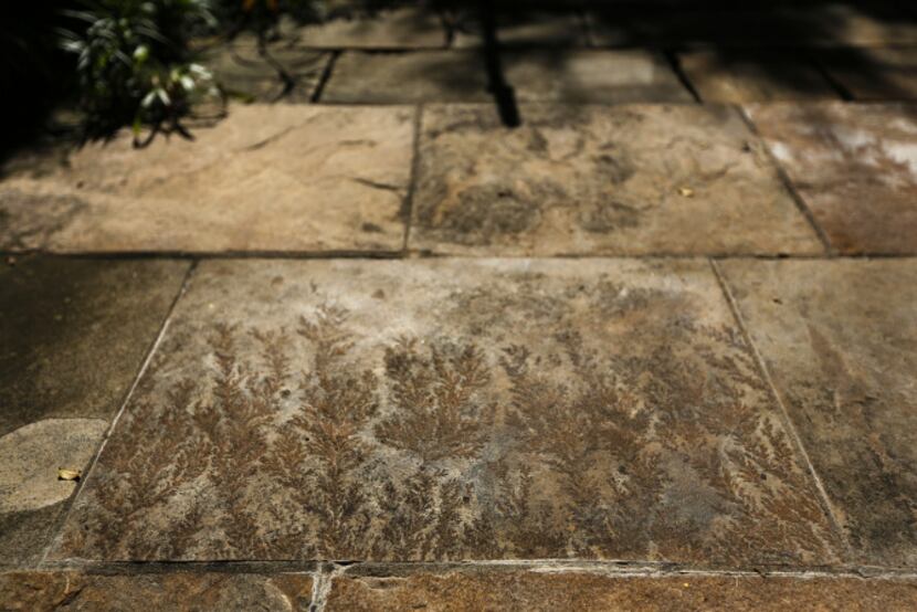 Native-stone slabs and boulders are used for steps and water features, including a cleverly...