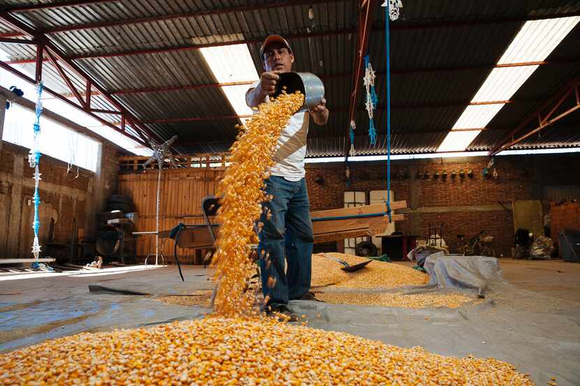 U.S. farmers export over $2.5 billion worth of corn to Mexico annually. That trade, along...