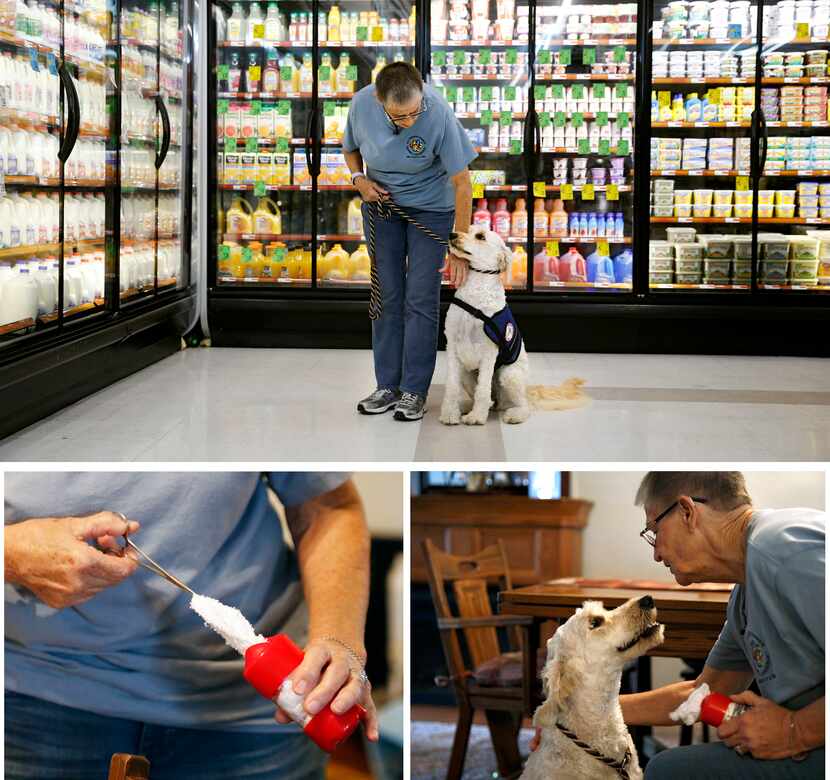 Bev Swartz of All Purpose Canines corrects Callie during training at a local grocery store...