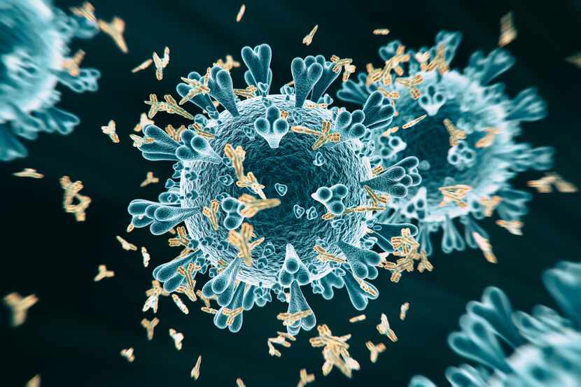La mutación lenta del coronavirus indica que la eventual vacuna pueda ser efectiva por mucho...