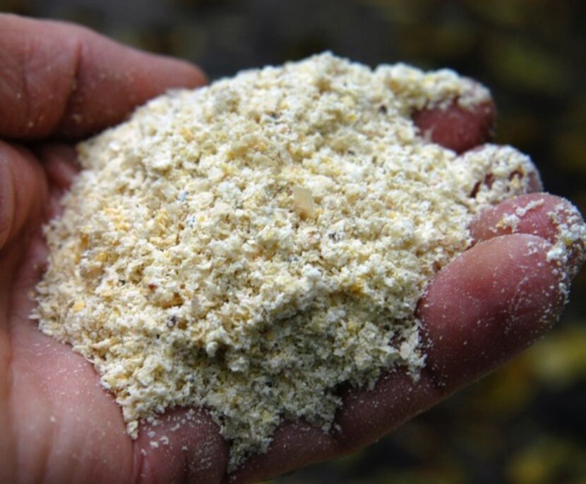 Whole ground cornmeal functions as a sugar.