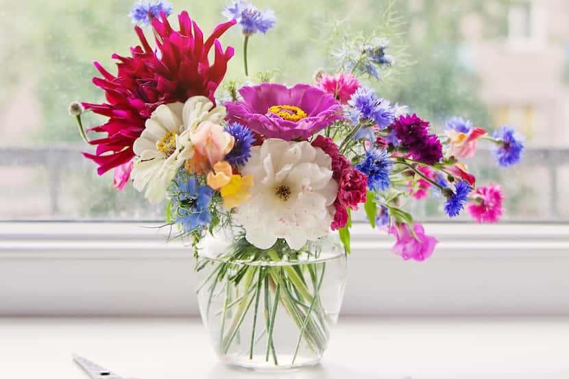 Colorful bouquet of garden flowers in a clear vase next to a window, with yellow scissors...
