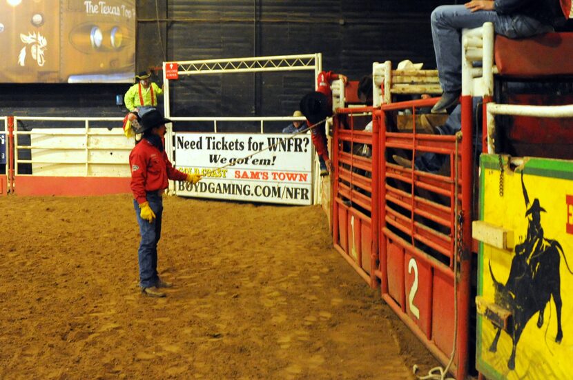 A rodeo wrangler opens the bucking chute to start the bull riding round at Billy Bob's Texas...