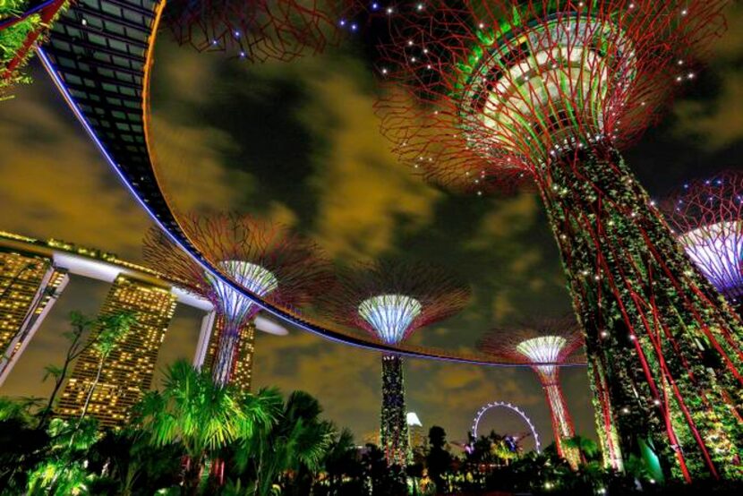 
The Supertree Grove is one of the key attractions at Singapore’s Gardens by the Bay.
