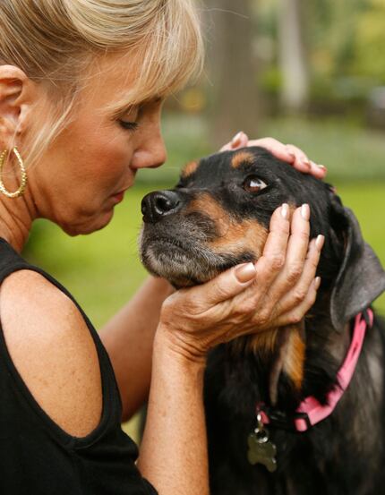 Hope the Rottweiler is recovering and regaining strength at the home of Sherri Green...