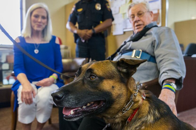 Kane the police dog gets some attention from Korean War veteran Calvin Brundrett, 88, who...