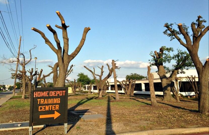 Decapitated trees found near Forest Lane, Dallas.