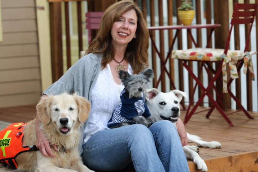 Susannah Charleson, with  Puzzle (the golden), Ollie (on her lap), and Jake Piper.