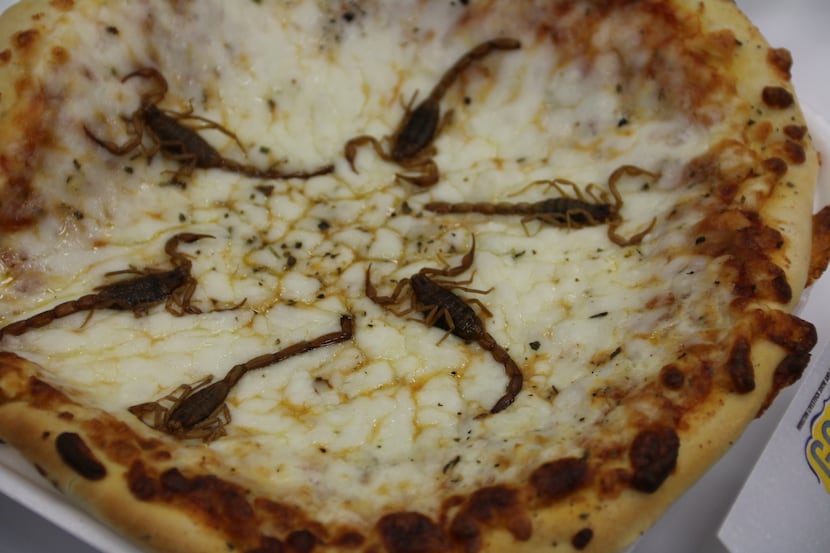 Hungry for a slice topped with scorpions? Try it at the Houston Livestock Show and Rodeo