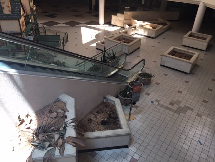 Abandoned food court with dead plants at Valley View Mall, July 12.