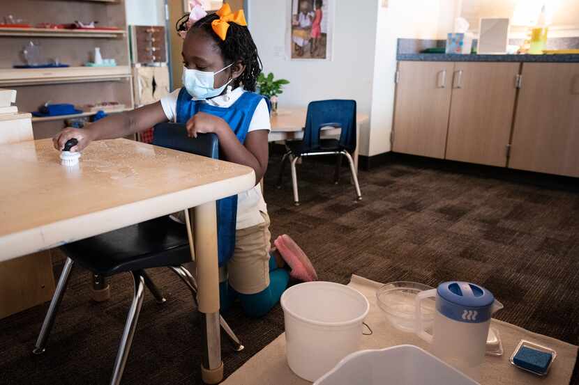 Primary student Erin Choice scrubs a table with soap as she works on practical life skills...