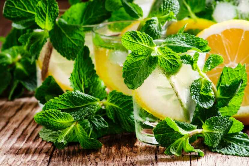 La caipiriña fresh lleva menta y uvas, pero puedes sustituirlas por otras frutas como...