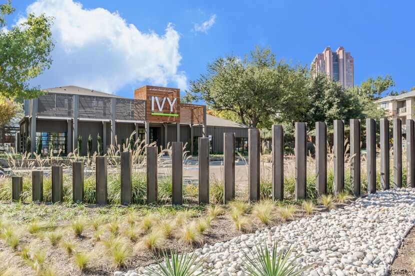 The Ivy apartments are located just east of U.S. 75 near Cityplace.