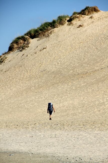 A hiker walks near Mount Baldy, which rises 126 feet above the shore of Lake Michigan.  