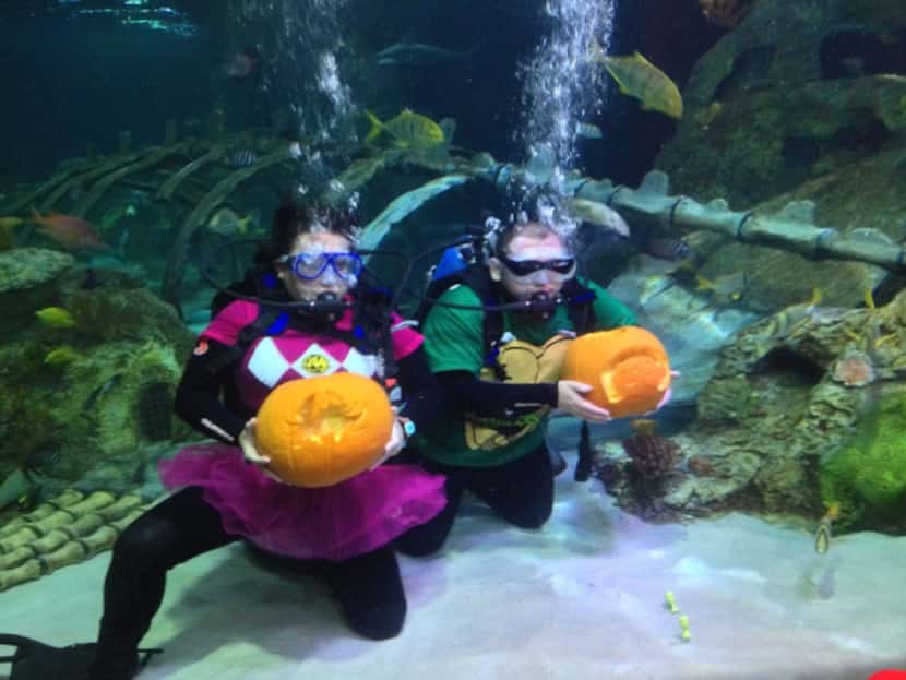 Come learn scary fish facts, watch underwater pumpkin carving and have more frightful fun at...