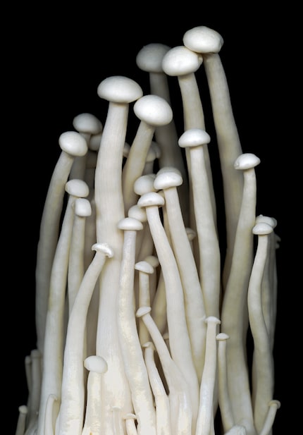 Carolyn Brown is still producing beautiful photos amid the quarantine, including "Enokitake...