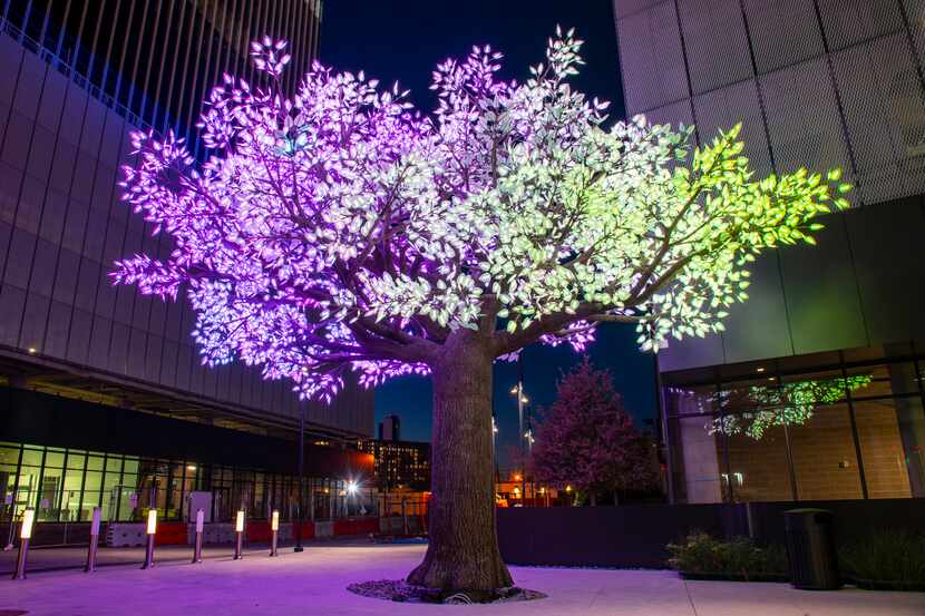 The Tree of Ténéré glistens outside of the Epic in Deep Ellum in downtown Dallas, Texas.
