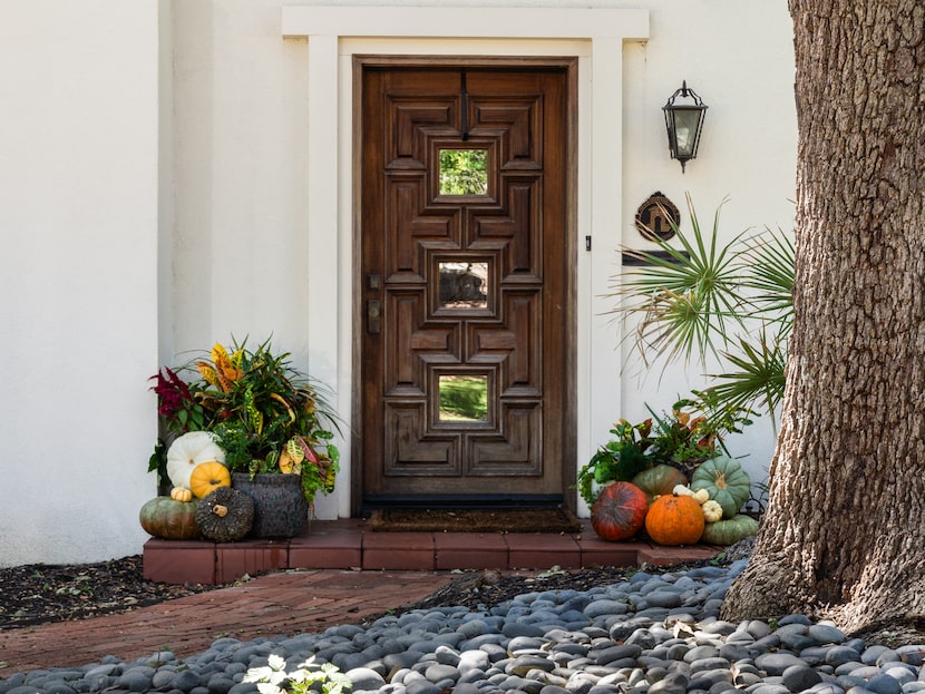 Doorway with pumpkins and plants