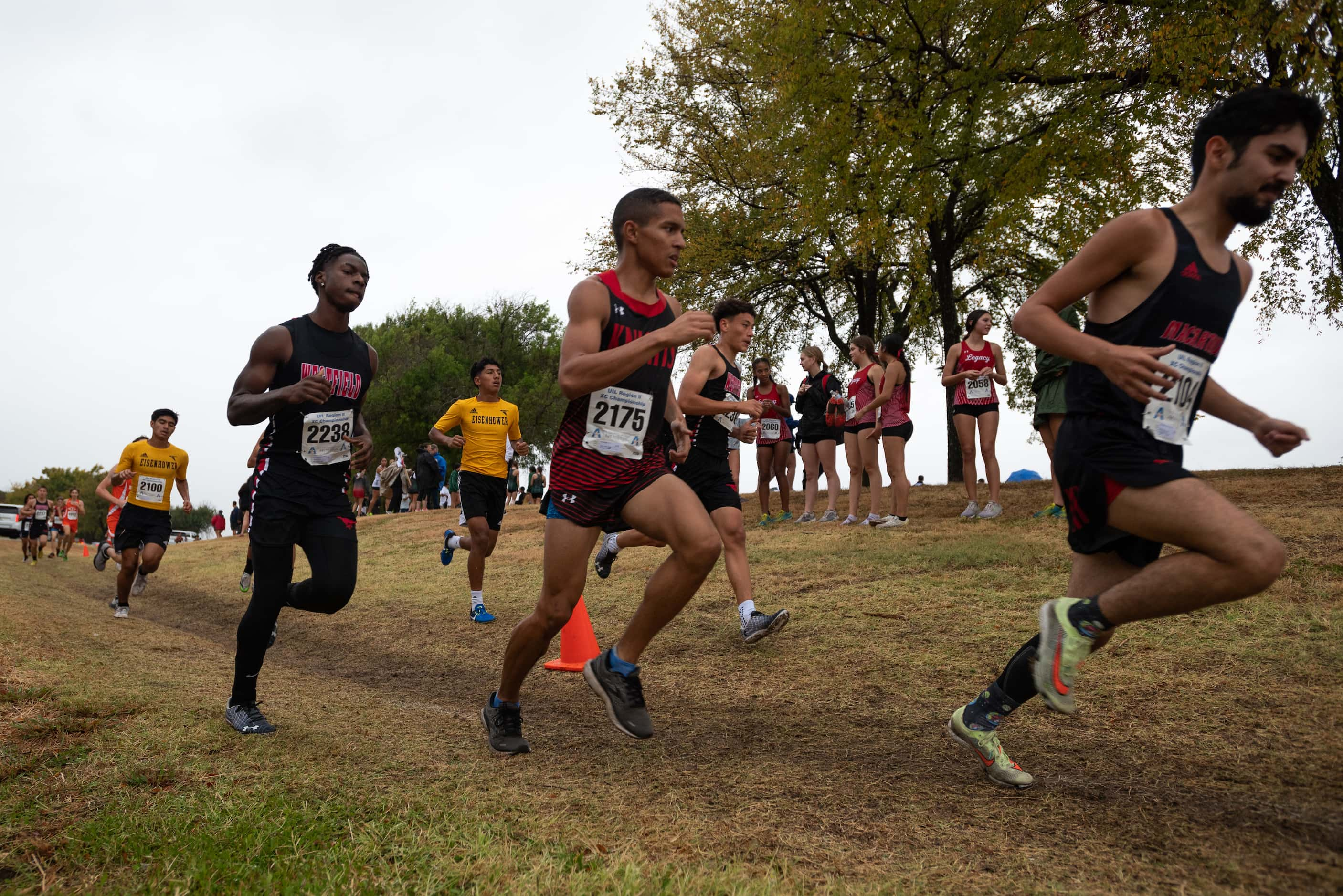 Spring Westfield D'Artagnan Raspberry, left, Killeen Harker Alan Douglas, center, and Aldine...