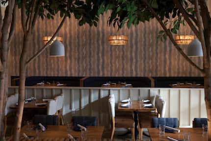The decor at the Finch is calm and casual. Faux trees divide up the generous Dallas...