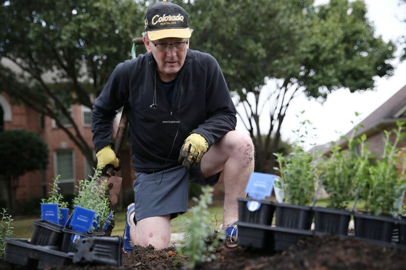 
Estates of Forest Creek Homeowners Association member Steve Mauch transplants shrubbery...