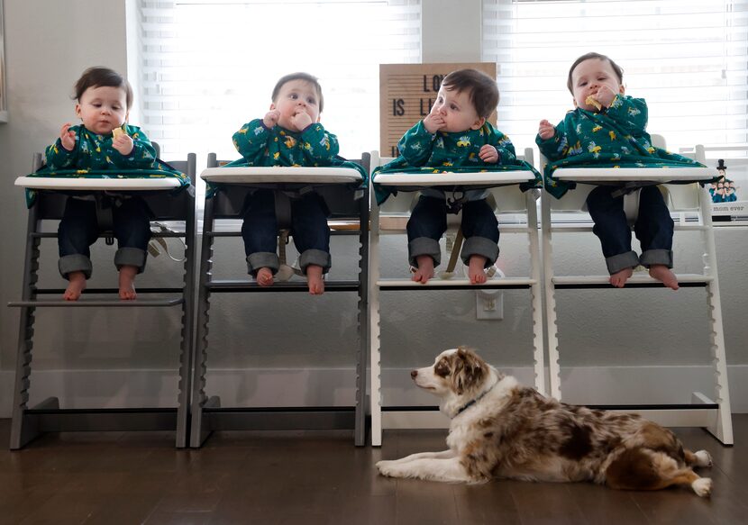 Harrison, Hardy, Henry y Hudson almuerzan junto a Zeke, la mascota de la familia Marr.