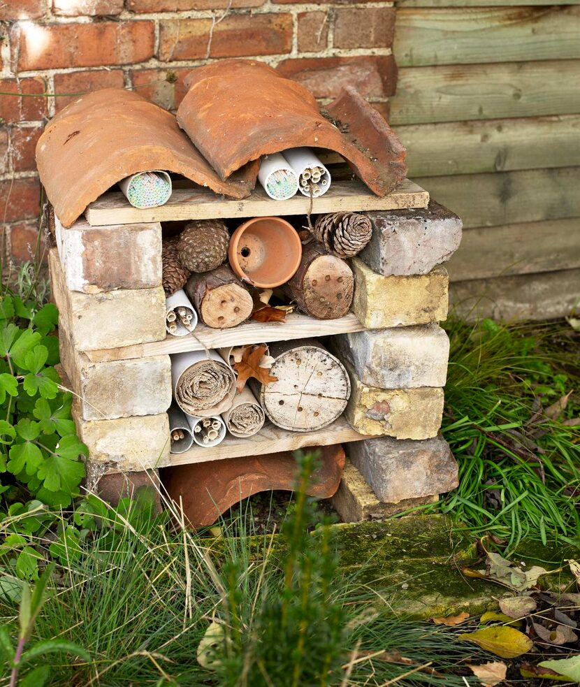 
Encourage more diversity in your wildscaped yard with a bug hotel, says The Urban Wildlife...