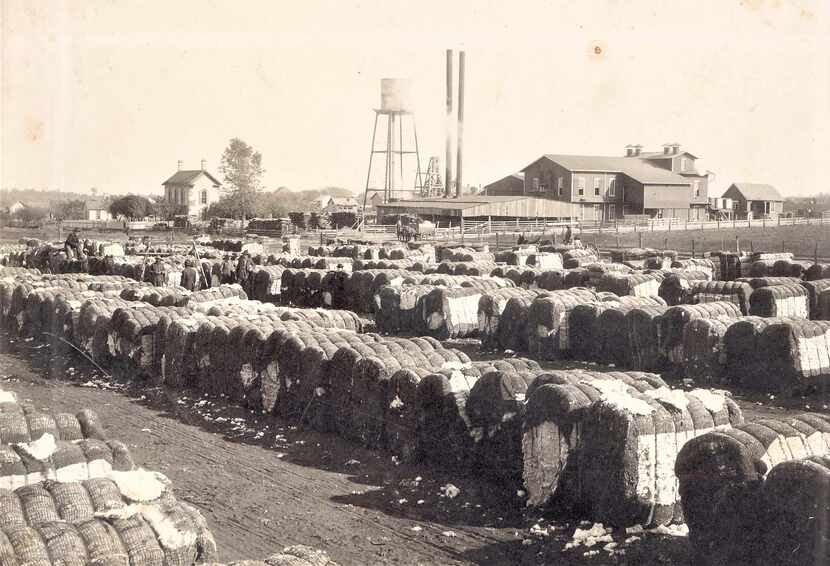 The Selz Cotton Gin in Pilot Point in a historical photo.