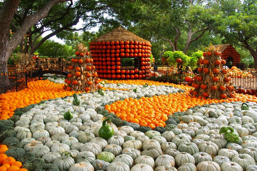Autumn at the Arboretum features thousands of pumpkins and gourds. OLYMPUS DIGITAL CAMERA