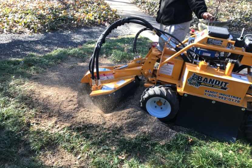 Stump grinders are the best way to eliminate stumps quickly.