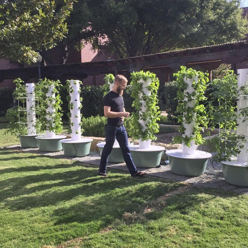 
The Hilton Anatole’s  tower gardens and vertical farm walls take up little space. 

