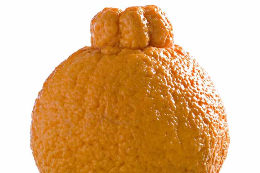   Sumo oranges  can weigh nearly a pound.