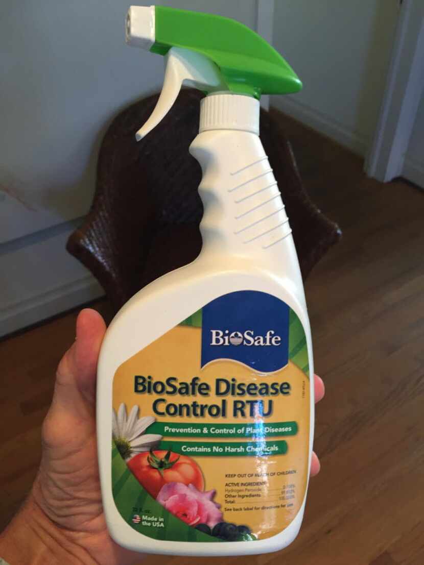BioSafe Disease Control is one commercial organic product that can be used to get rid of...