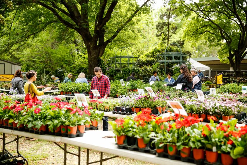 Bring a wagon and celebrate spring during the Fort Worth Botanic Garden spring plant sale...