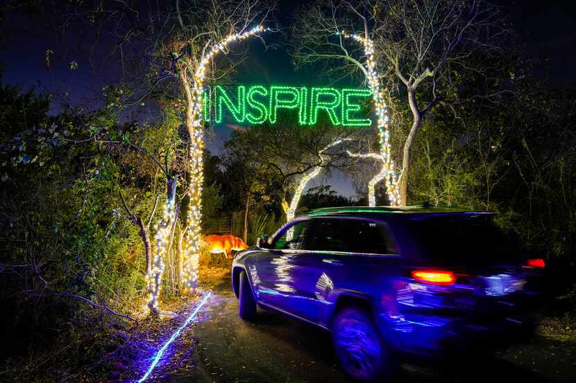 Motorists pass through a canopy of lights during Dallas Zoo Lights on Wednesday, Nov. 18,...