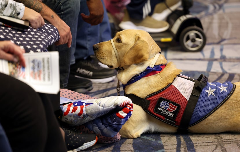 Dorsey, a trained service Labrador, waits at the feet of Army veteran 
Freddy Ruiz after the...