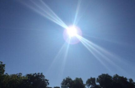  The sun is out on Sunday. (Naomi Martin/ DMN)