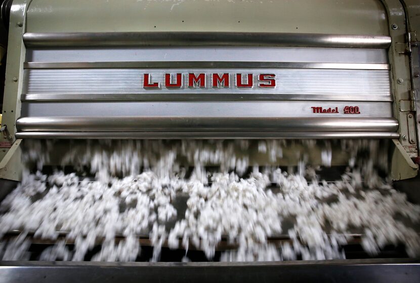 Cotton flows through a gin at Woolam Gin in O'Donnell in West Texas.