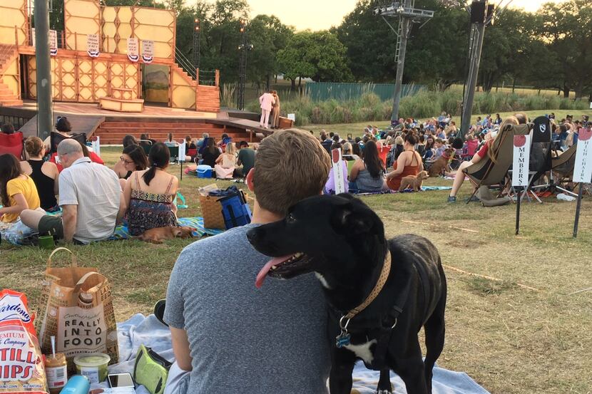 Shakespeare Dallas' dog nights are this weekend.