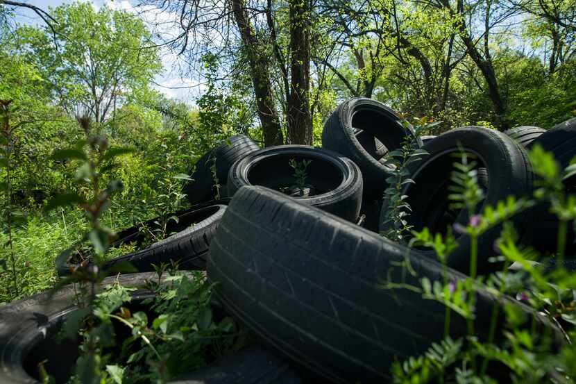 Used tires, one of multiple piles, litter an area along Five Mile Creek in Dallas. Willie F....