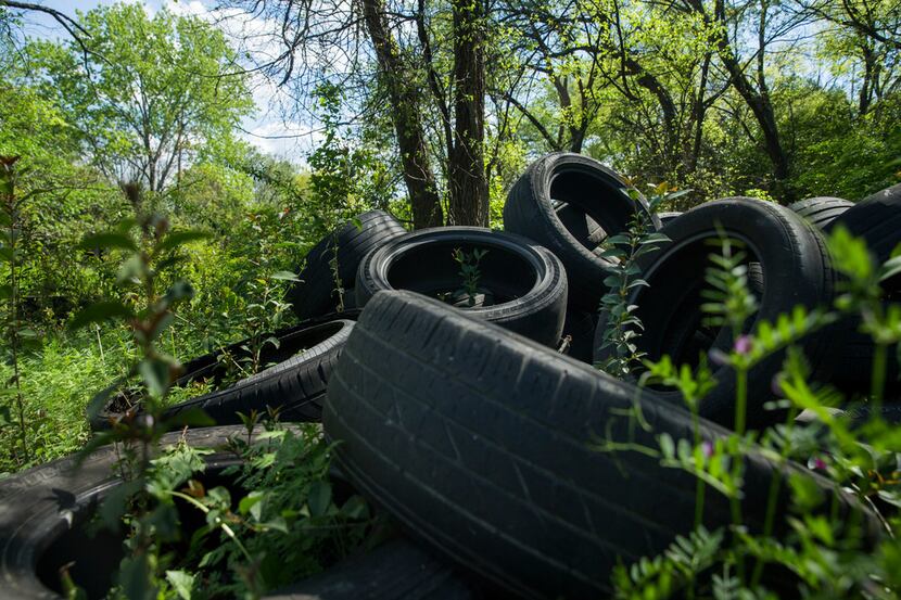 Used tires, one of multiple piles, litter an area along Five Mile Creek in Dallas. Willie F....
