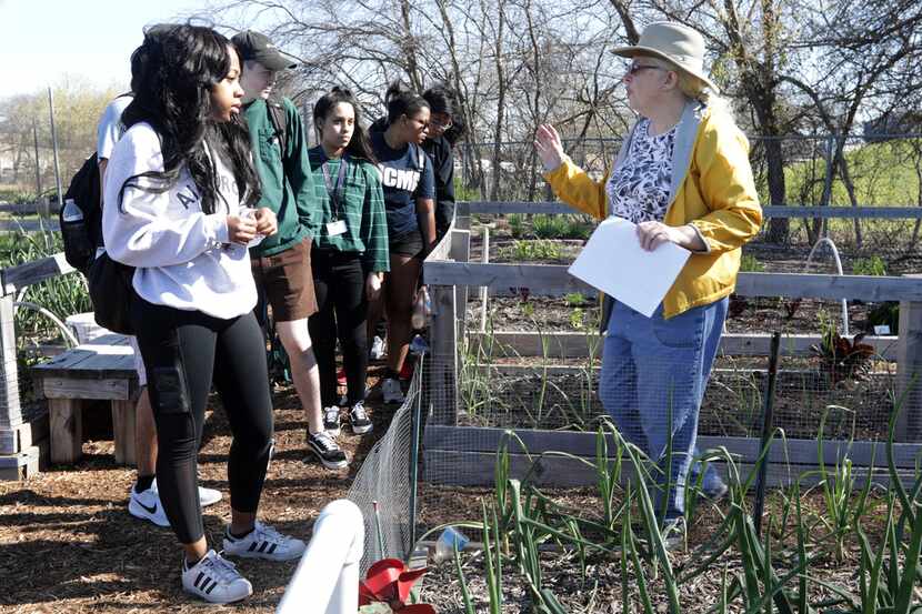 Volunteer Rebecca Brady leads a group of students on a tour of the community gardens at the...