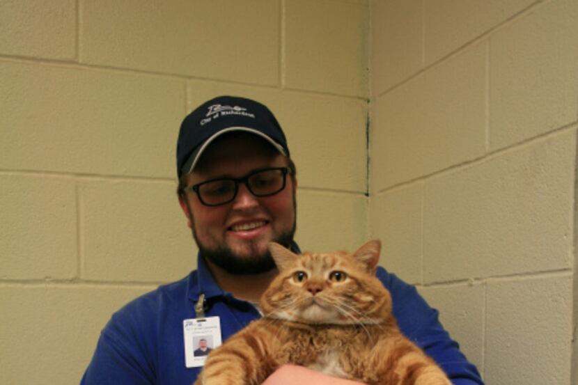 Josh Polando of Richardson Animal Services  holds Skinny the cat shortly after he was found...