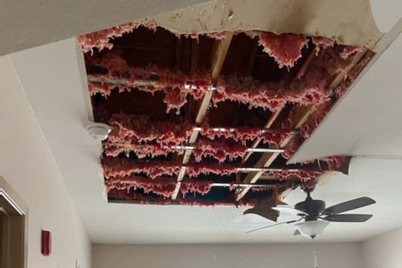 Bursting pipes inside the ceiling at Genesis Women's Shelter showered insulation down onto...