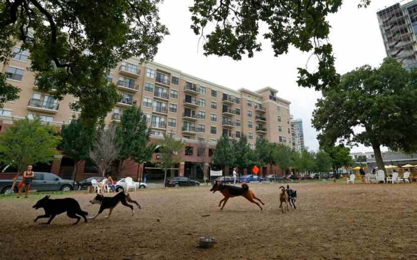 
Dogs run around at Mutts Canine Cantina, a business that’s become a neighborhood green...