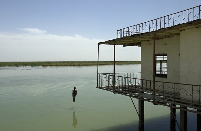 Marsh Arabs were forced from their homes and the marshlands in southern Iraq were destroyed...