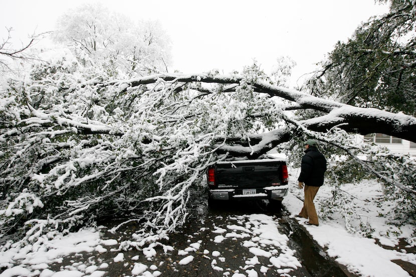 Kyle Hickey surveys the damage after a tree limb fell on a neighbor's truck on  Feb. 12, 2010.